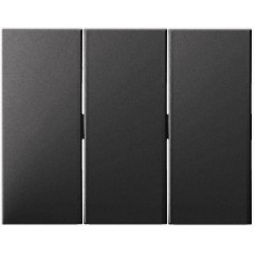 Клавіша 3Х, колір антрацит, матовий, K.1 Berker 14657006