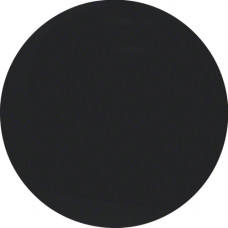 Клавіша 1Х, колір чорний, глянць, R.x Berker 16202045