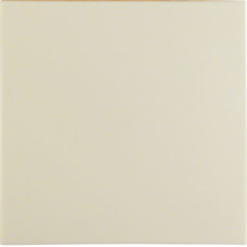 Клавіша 1Х, колір слонова кістка, глянець, S.1 Berker 16208982