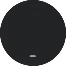 Клавіша 1Х з лінзою, колір чорний, глянець, R.x Berker 16212045