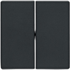 Клавіша 2Х, колір антрацит, бархатний лак, Q.х Berker 16236086