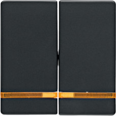 Клавіша 2Х з лінзами, колір антрацит, бархатний лак, Q.х Berker 16276086