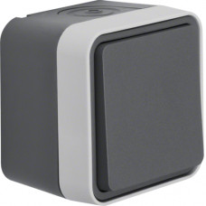 Вимикач хрестовидний IP55, сірий, 10АX/250В W.1 Berker 30773505