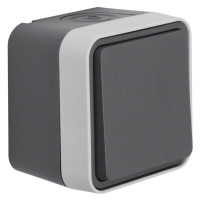 Переключатель IP55, серый, 10АX/250В W.1 Berker WNC011