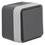 Перемикач IP55, сірий, 10АX/250В W.1 Berker WNC011