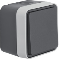 Вимикач кнопковий 1-клавішний IP55, сірий, 10АX/250В W.1 Berker WNC020