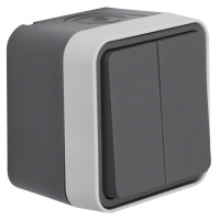 Выключатель 2-клавишный IP55, серый, 10АX/250В W.1 Berker WNC042